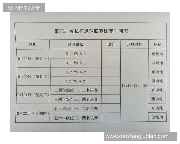 南京足球队荣登足球意识排行榜第三名引发热议