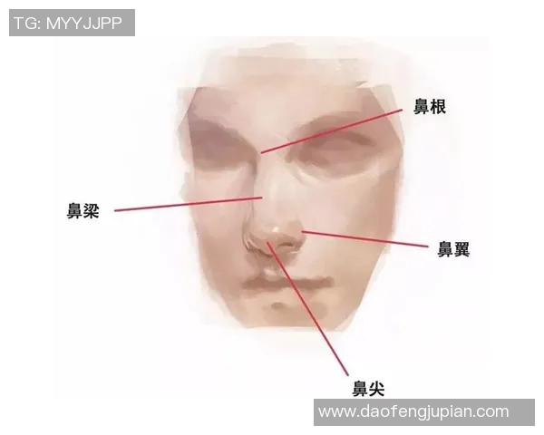 日本足球明星面相解析与职业生涯成就的深度探讨与分析