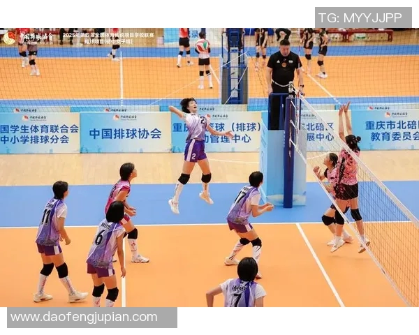 杭州排球队在冠军赛中的节奏表现分析与战术探讨